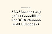 Liquefier Elegant Serif Font, a Serif Font by UICreative (Thumbnail 11 of 13)
