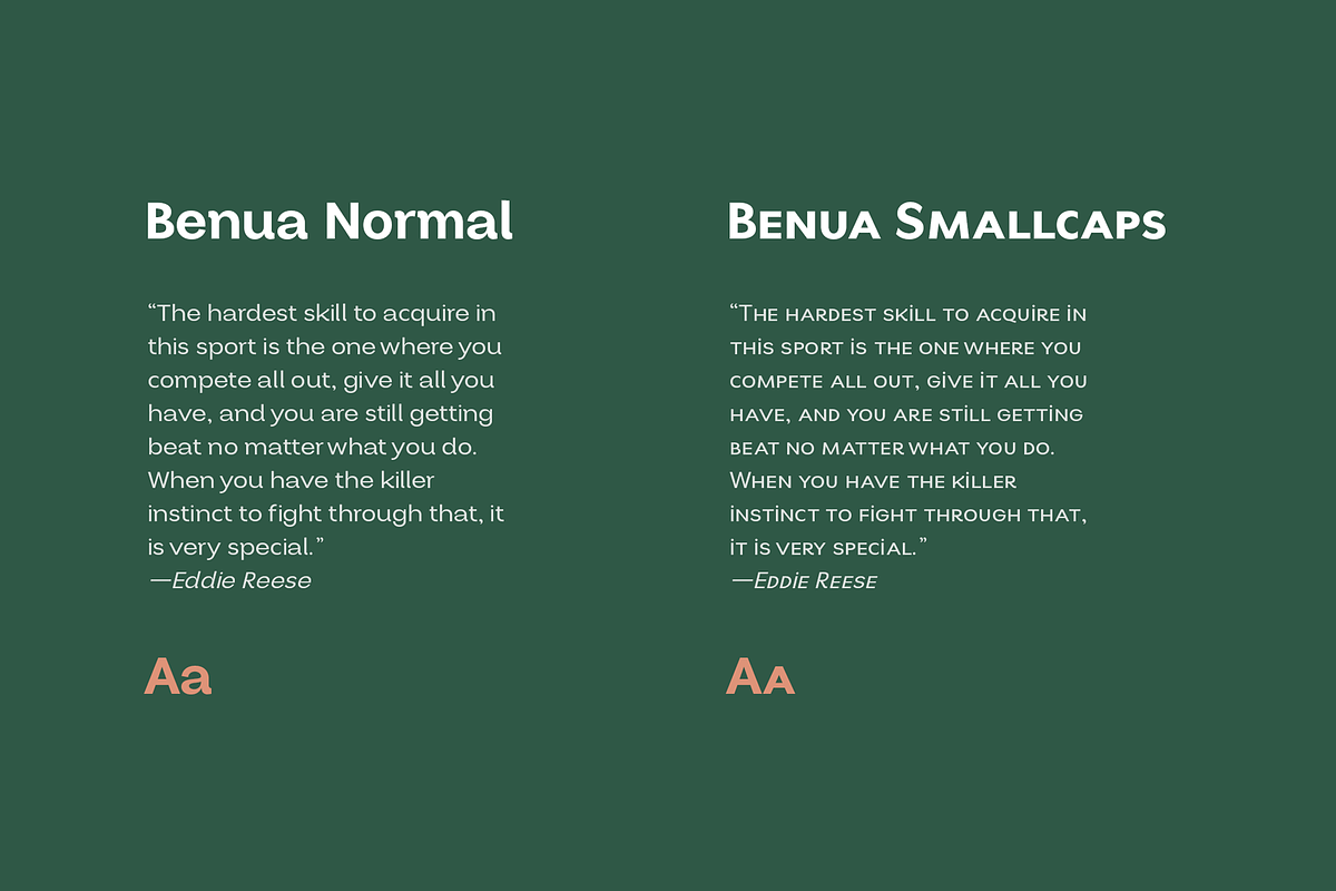 Benua Grotesque TypeFamily + Italic, a Serif Font by Jehoo Creative (Photo 9 of 12)