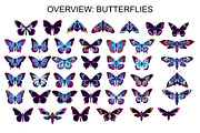 Wings & Butterfly(SVG, PNG Brushes), a Brush Add-On by xresch (Thumbnail 13 of 22)
