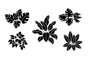 Minimal Botanical Leaf Silhouette Bu, an Illustration by Creativeshirt (Thumbnail 51 of 51)