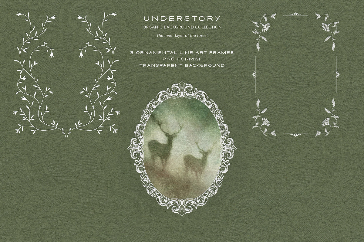 Understory Organic Backgrounds, a Background Graphic by alonahaidash (Photo 10 of 15)