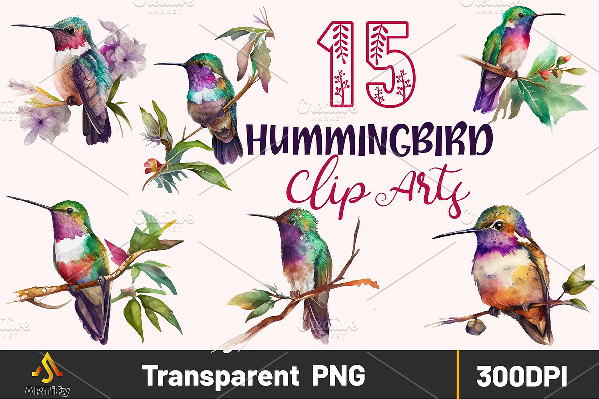 Watercolor Hummingbirds PNG Clipart, a Decorative Illustration by ARTify Illustrations (Photo 1 of 6)