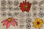 Flower heads stamps for Procreate, a Brush Add-On by TheWhiteCatLab (Thumbnail 6 of 7)