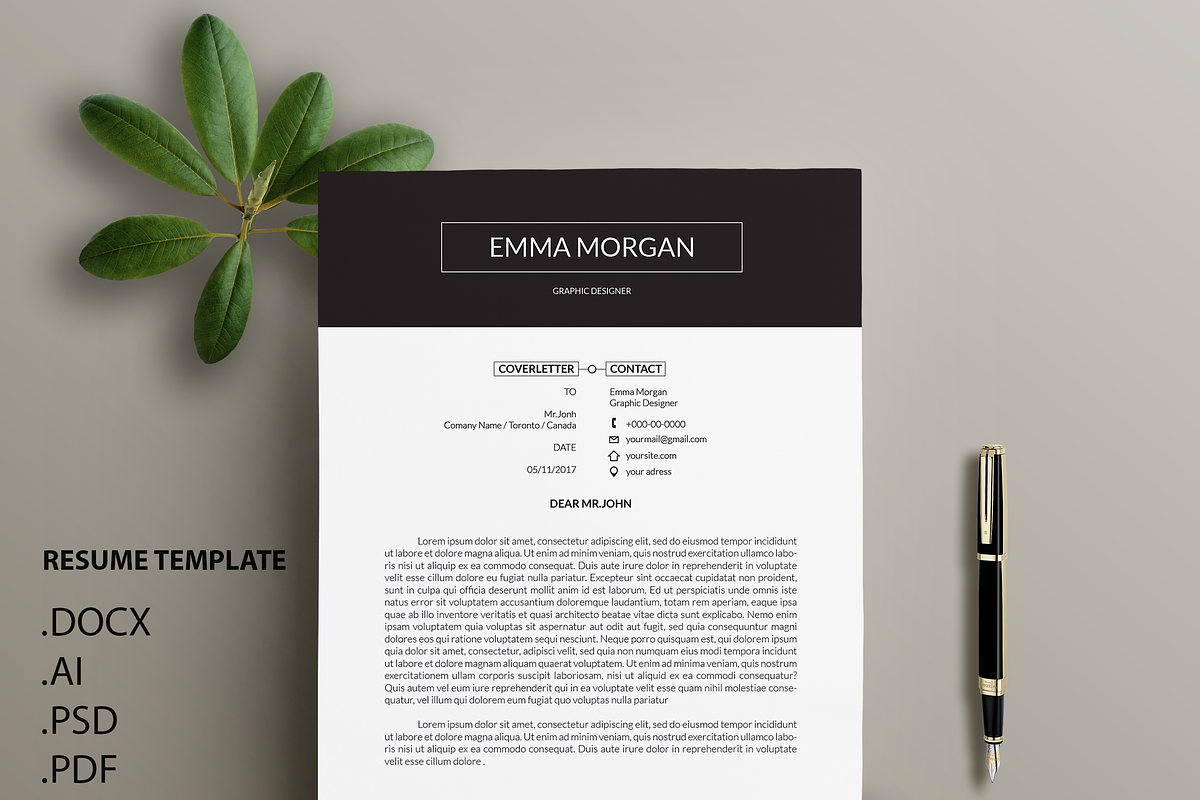Professional CV / Resume Template /M, a Resume Template by Showy68 Template (Photo 3 of 3)