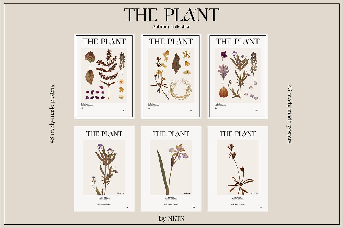 The PLANT. Autumn collection, a Pattern Graphic by NKTN (Photo 12 of 18)