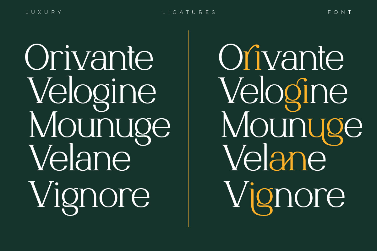 Norriex - Luxury Serif Font, a Serif Font by trabaskriya (Photo 6 of 11)