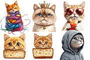 Funny Meme Cats Sublimation Clipart, an Illustration by Designworld (Thumbnail 2 of 6)