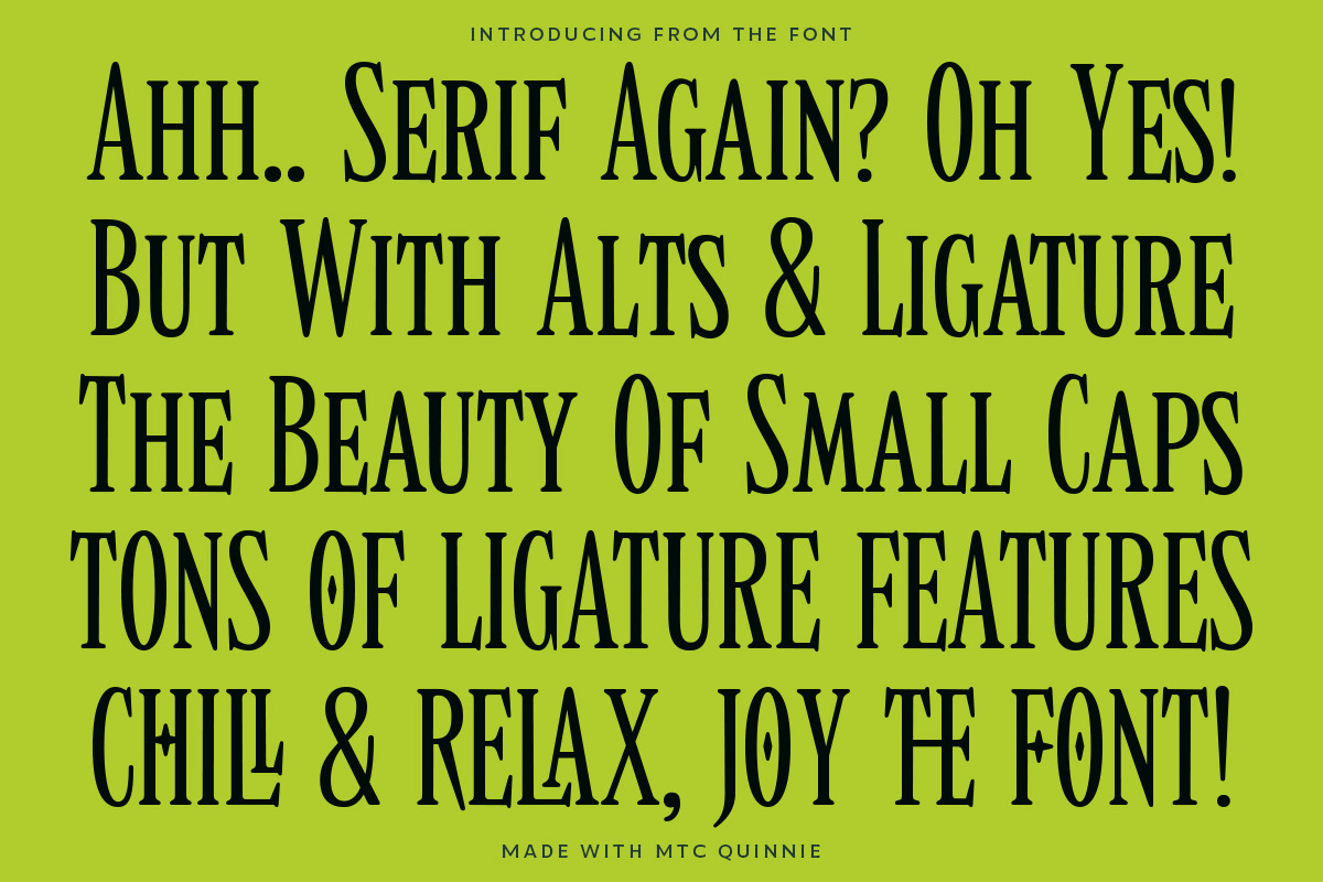 MTC Quinnie - Condensed Serif!, a Serif Font by Martype (Photo 4 of 12)