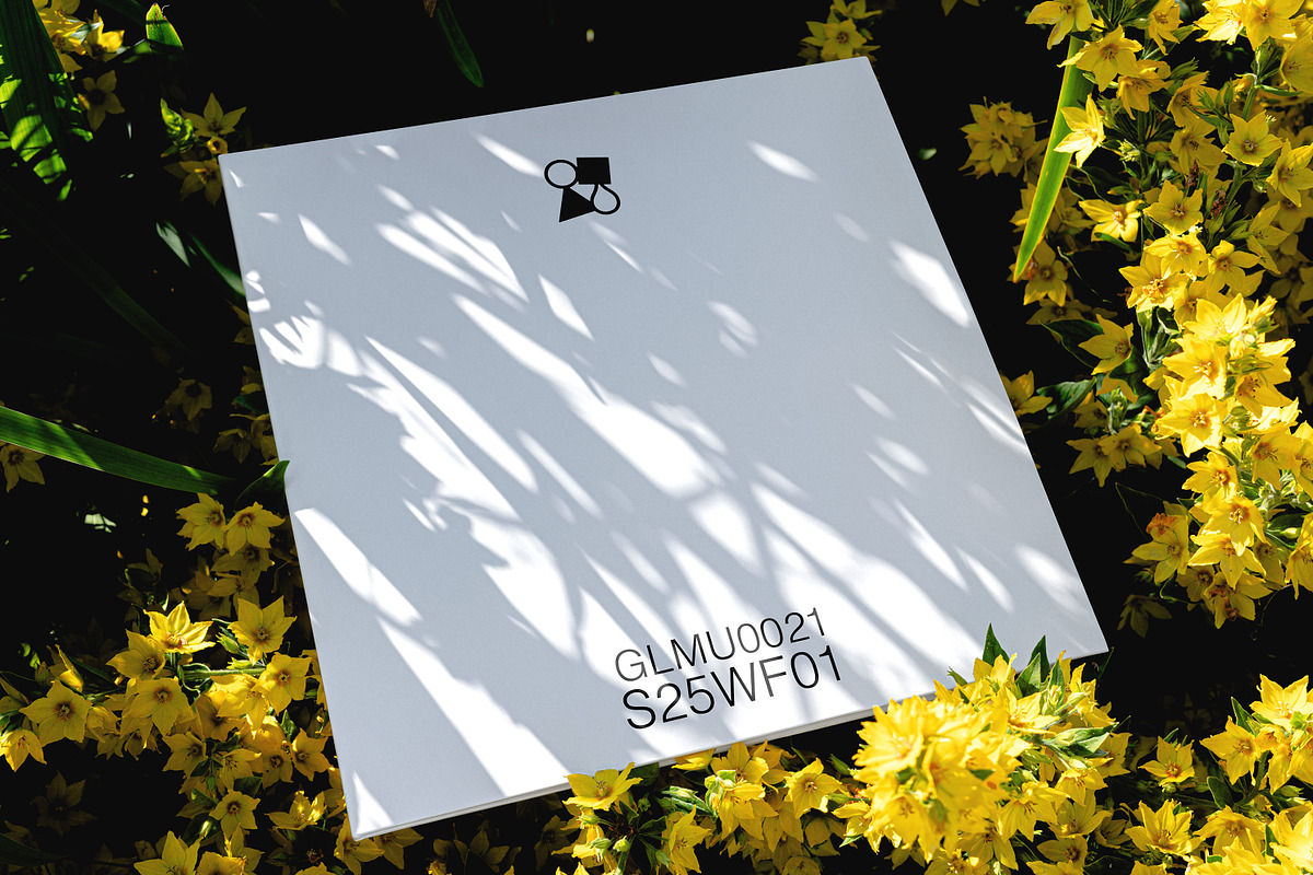 Wax Flowers Mockup Collection, a Packaging Mockup by Glue Lab (Photo 5 of 5)