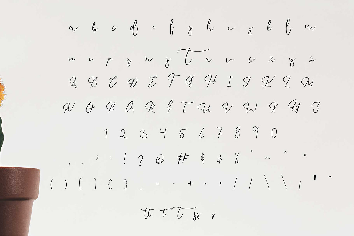 endossement font preview 6