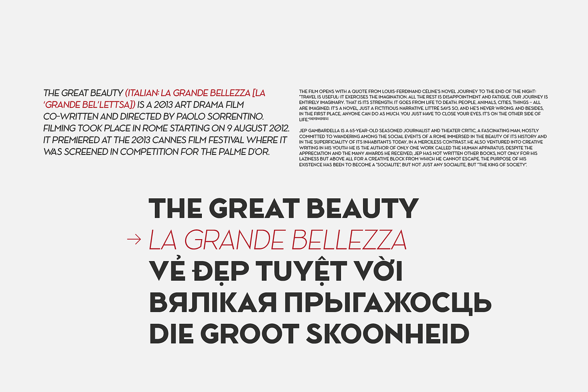 Ace Sans Variable Font, a Sans Serif Font by FactoryType Studio (Photo 7 of 11)
