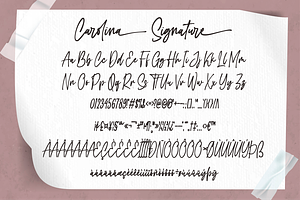 Carolina Signature