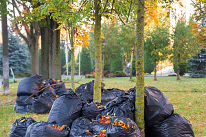 Black plastic bags filled with fallen autumn leaves collected in park. Heap of