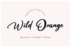 Wild Orange - Script Font