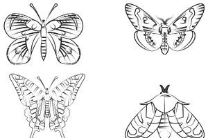 Butterfly Outlines Set 2 Procreate