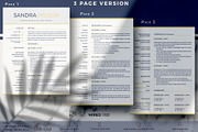 Professional Resume Template Bundle, a Resume Template by HIRED Design Studio (Thumbnail 5 of 13)