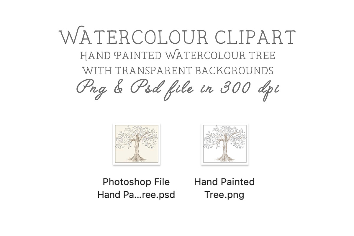 Family tree clipart, trees clipart,, an Illustration by CommercialCliparts (Photo 3 of 3)