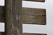 Alphabet Photography Letter E, a Nature Photo by Artistic Letters (Thumbnail 7 of 7)