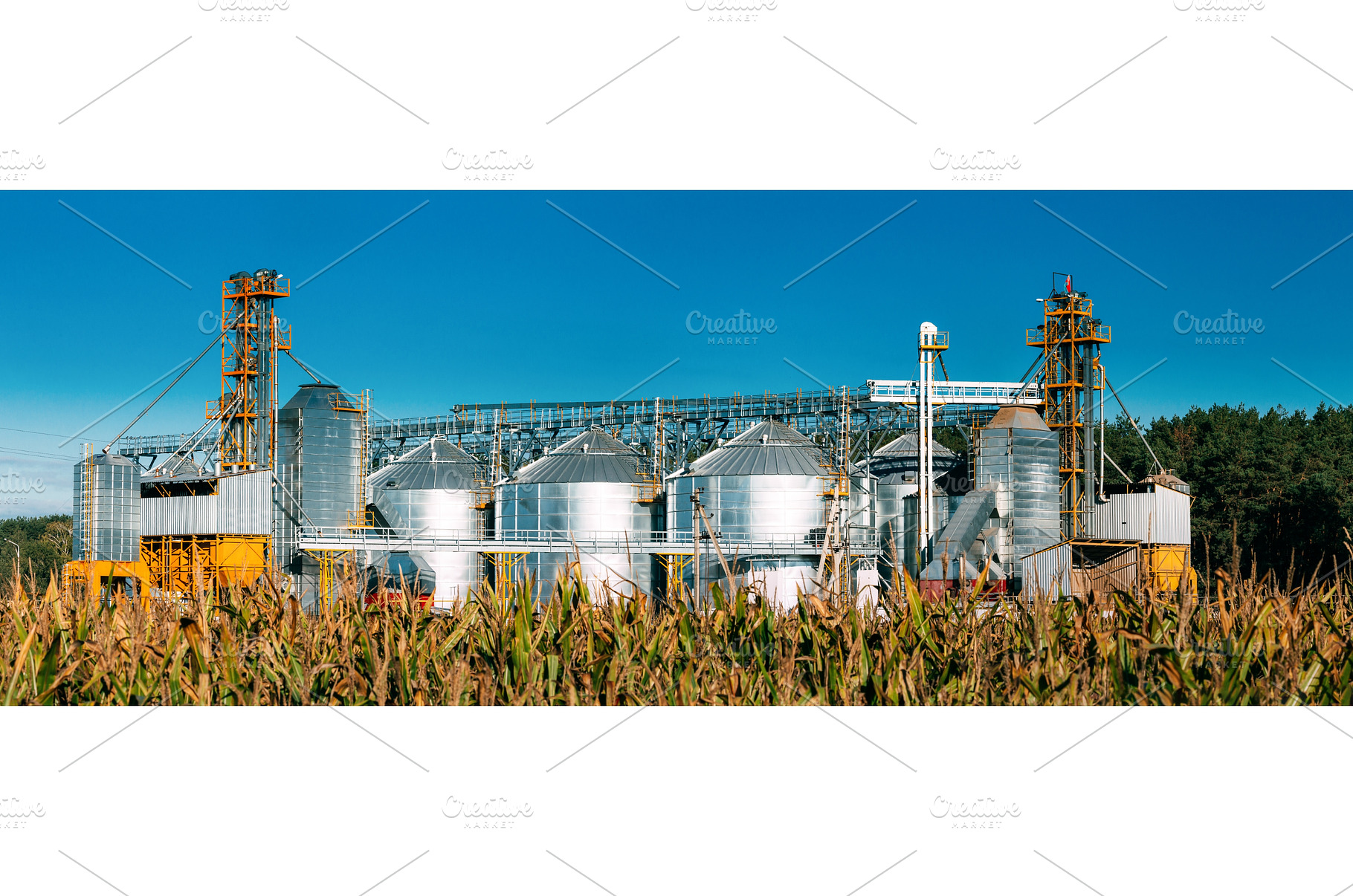 Modern Granary, Grain-drying Complex, an Industrial Photo by Our Amazing World