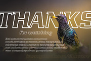 Quartell Round Outline Italic, a Slab Serif Font by NREY (Thumbnail 5 of 5)