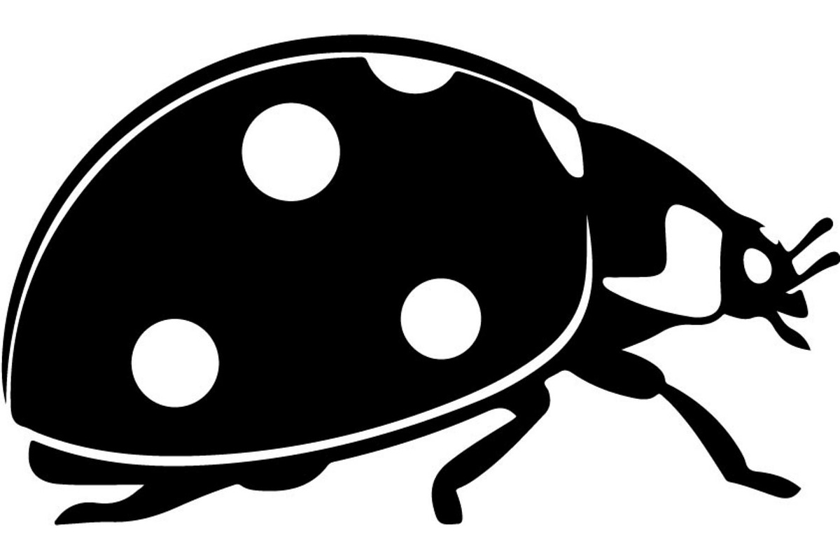 Ladybug Silhouette, an Object Graphic by Designer_Momina (Photo 19 of 20)