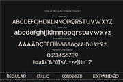 CASILLE - Serif Family, a Serif Font by Olexstudio (Thumbnail 5 of 7)