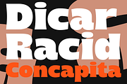 Concapita - Fat Display, a Sans Serif Font by LoneArmy (Thumbnail 2 of 15)