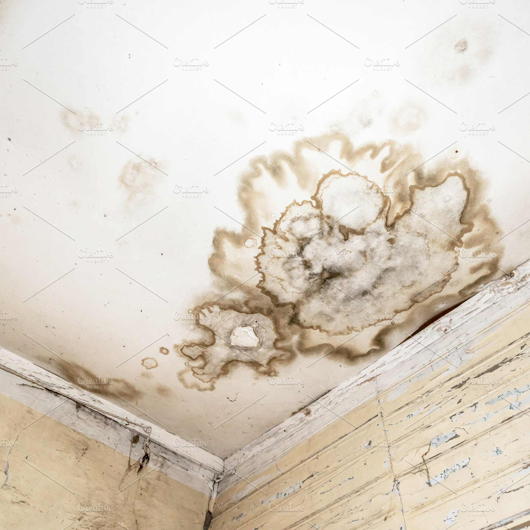 Mold spots on the ceiling or wall, a Wallpaper Photo by KYNA STUDIO
