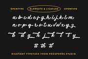 Rigotamy - Script Font, a Script Font by prps.std (Thumbnail 5 of 6)