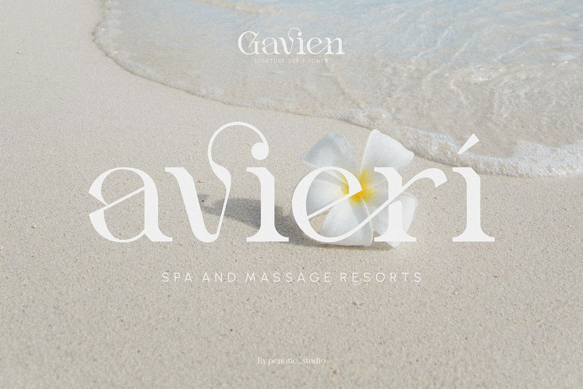 Gavien _ Ligature Serif Font, a Serif Font by Penatic Studio (Photo 4 of 10)