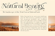 Magero Elegant Serif Font, a Serif Font by AuthenType (Thumbnail 3 of 10)