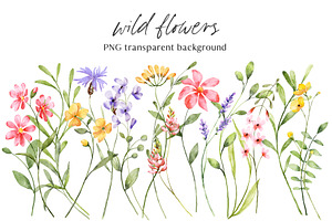 Wild flowers, watercolor clipart PNG