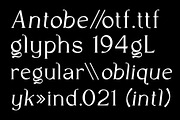 VT Antobe - Modern Serif, a Serif Font by ViactionType (Thumbnail 2 of 12)