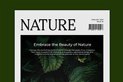 Regime Misfiles Serif Oldstyle Font, a Serif Font by Letterena Studios (Thumbnail 3 of 15)