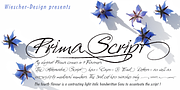 Prima Script, a Script Font by Wiescher-Design (Thumbnail 1 of 10)