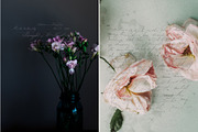 Vintage Ephemera and Overlays, a Texture Graphic by Greta Ivy (Thumbnail 7 of 7)