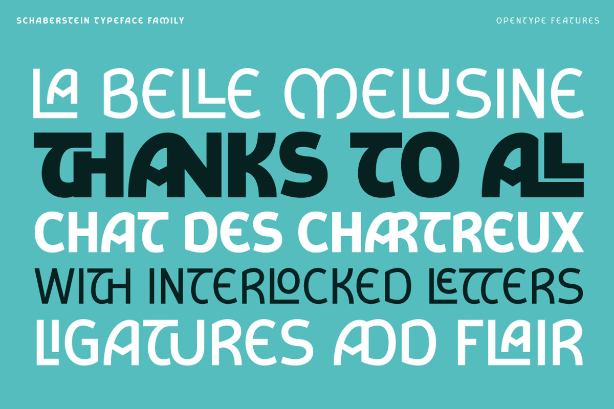 Schaberstein, a Sans Serif Font by Typogama (Photo 10 of 13)