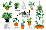 Tropical plants collection, a Decorative Illustration by Letto studio (Thumbnail 1 of 4)