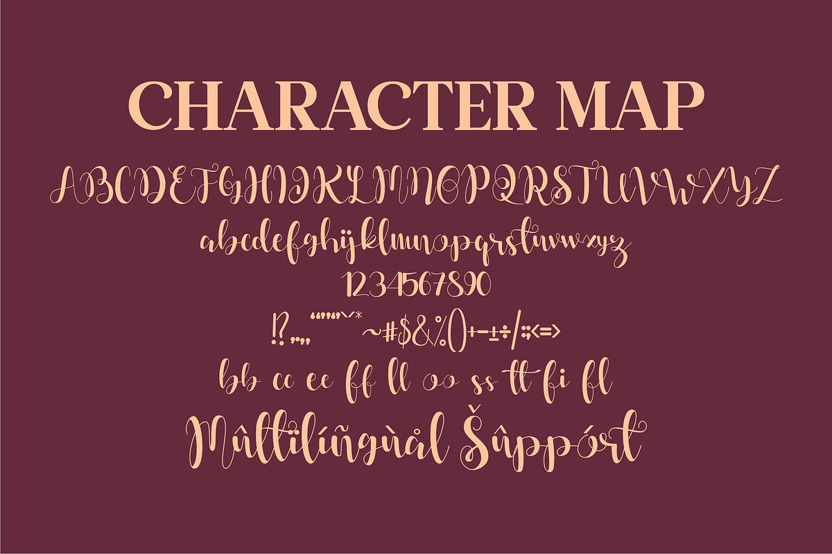 Dahllia Claire Script LS, a Script Font by GranzCreative (Photo 2 of 20)