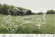 Spring line art Vintage cottagecore, a Decorative Illustration by 60secondsArt (Thumbnail 2 of 12)