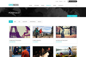 Business WordPress Theme