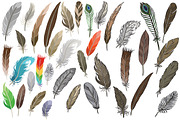 Vector feathers, an Illustration by risovanya (Thumbnail 3 of 4)