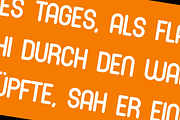 Roundion Cyrillic Font Family, a Sans Serif Font by alpercakici (Thumbnail 15 of 16)