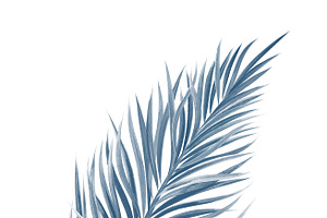 Watercolor tropical leaf, a Texture Illustration by ArtBackground