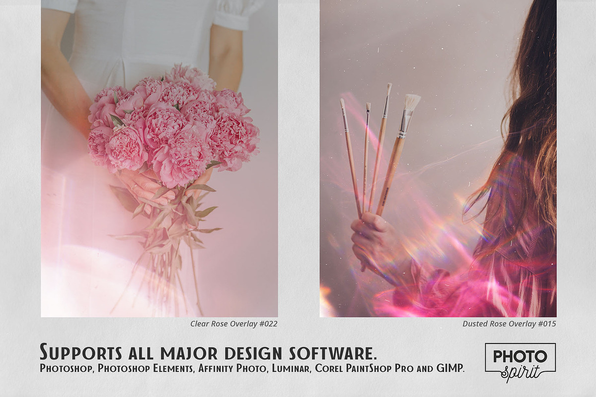 Dusted Rose Overlays, a Brushes & More by PhotoSpirit (Photo 5 of 10)