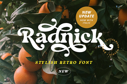 Update! Radnick - Stylish Retro, a Serif Font by Letterhend Studio
