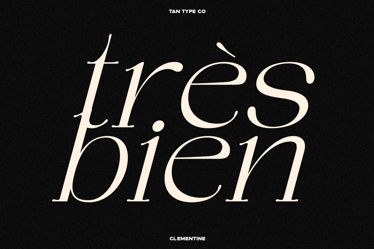 TAN - CLEMENTINE, a Serif Font by TanType (Photo 3 of 20)