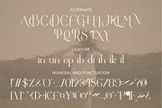 Ballein feminine serif font, a Serif Font by suhadidesign (Thumbnail 12 of 12)