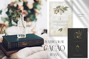 Watercolor Cacao Beans, a Food Illustration by MayaNavits (Thumbnail 9 of 13)