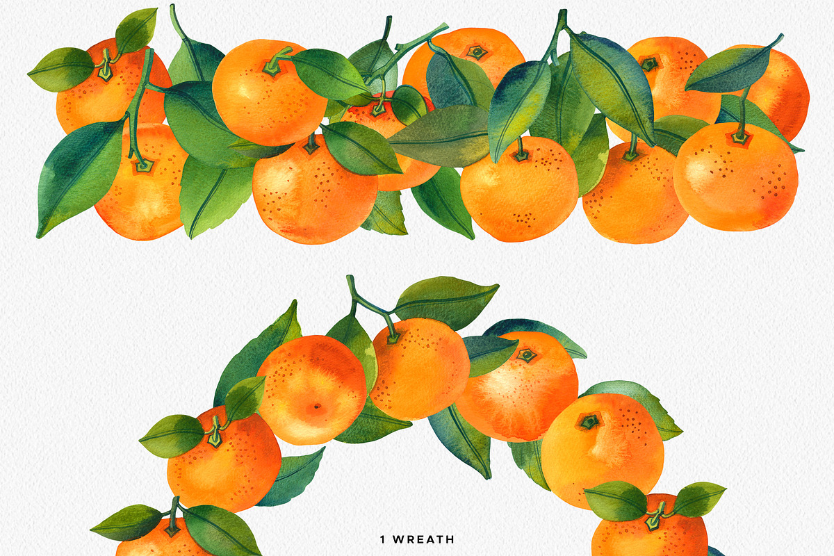 Watercolor Mandarin Fruits Vol. 2, a Food Illustration by Olga Begak Art & Design (Photo 4 of 8)